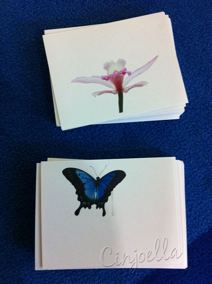 flower and butterfly papers